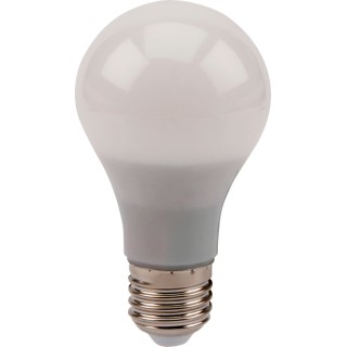 1 - Lampada LED 24V AC DC 10W Luce Fredda E27 Cantiere Officina Barca