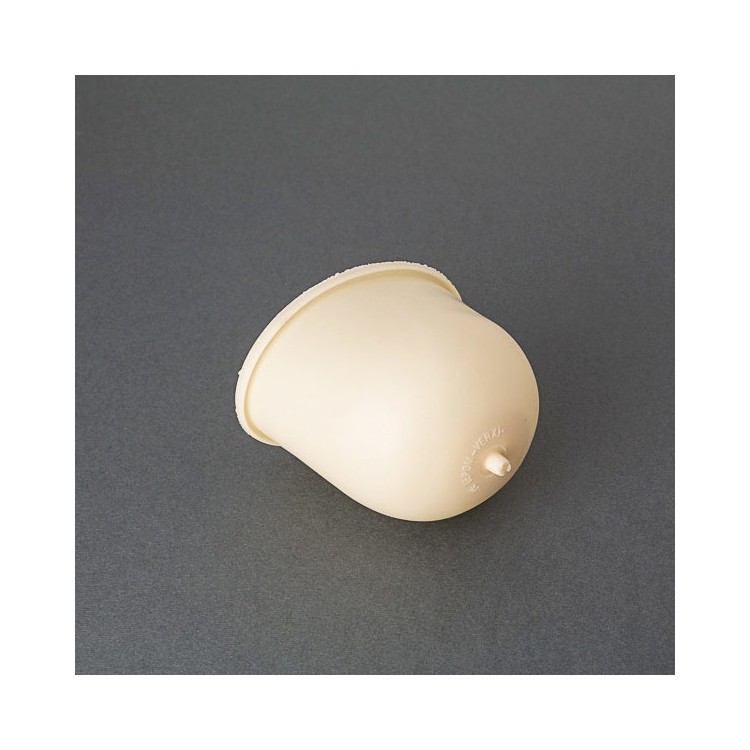 1 - Membrane de remplacement pour réservoir d'expansion de caravane de camping-car Fiamma A20