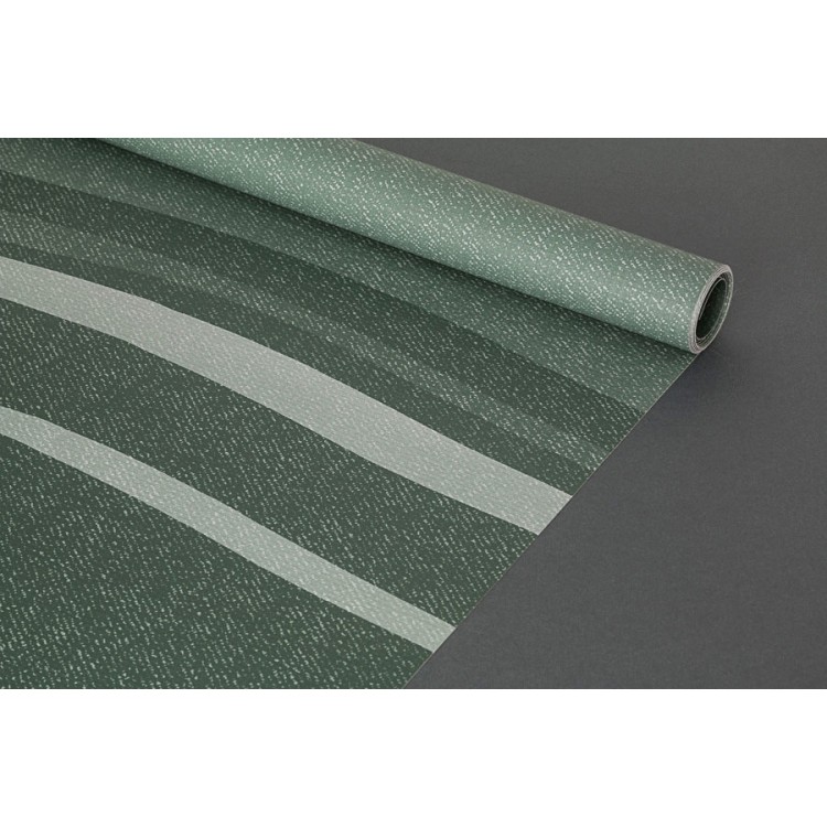 1 - 250 Evergreen Couverture de véranda de remplacement Fiamma F45s Camper