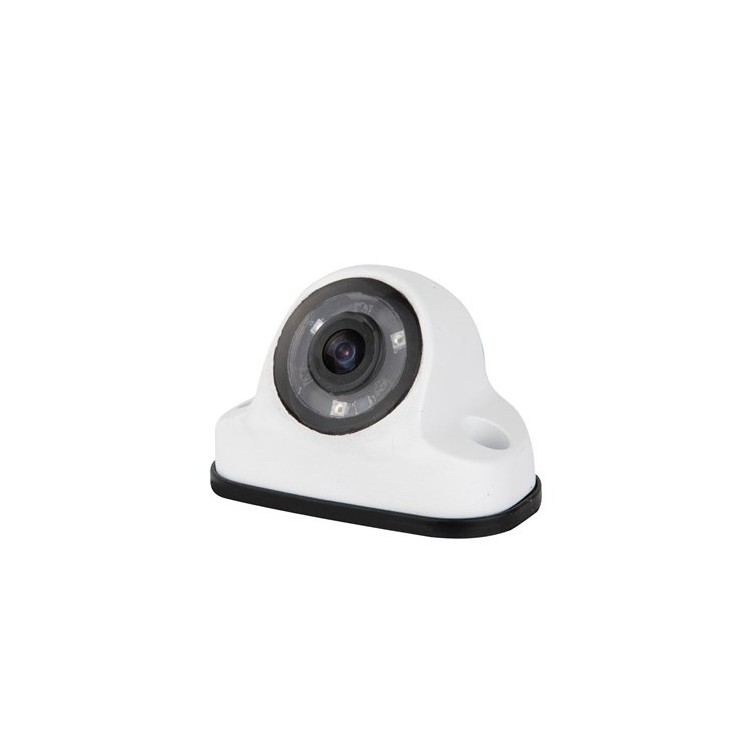 1 - Single Rear View Camera Camper VechLine
