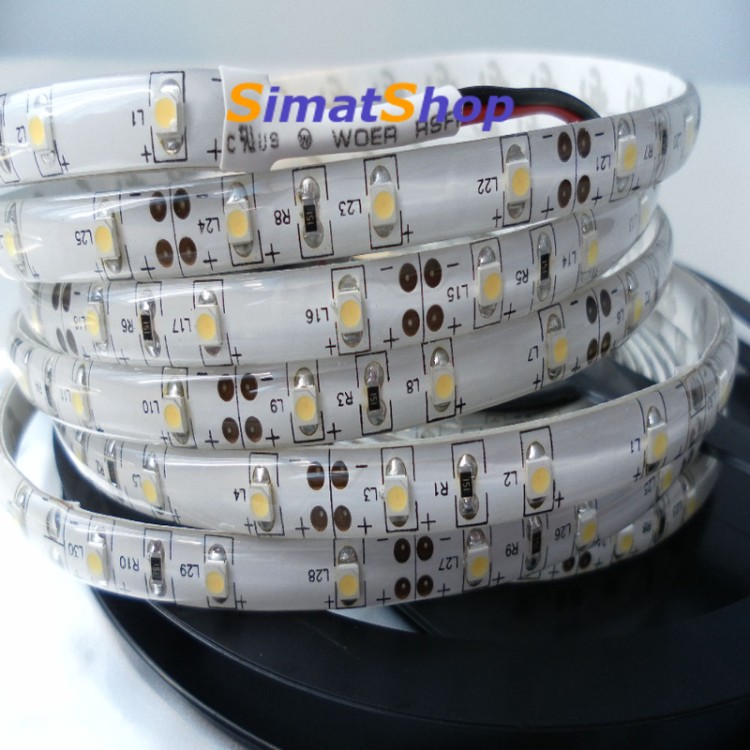1 - Bande LED 5m 300 SMD3528 Lumière Rouge pour l'Extérieur